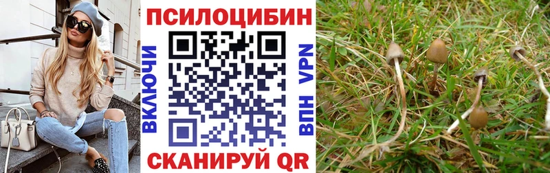 Галлюциногенные грибы Psilocybine cubensis  как найти наркотики  Мончегорск 