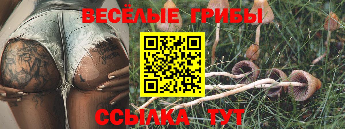 Мончегорск  закладки  Вход с VPN  Галлюциногенные грибы прущие грибы 