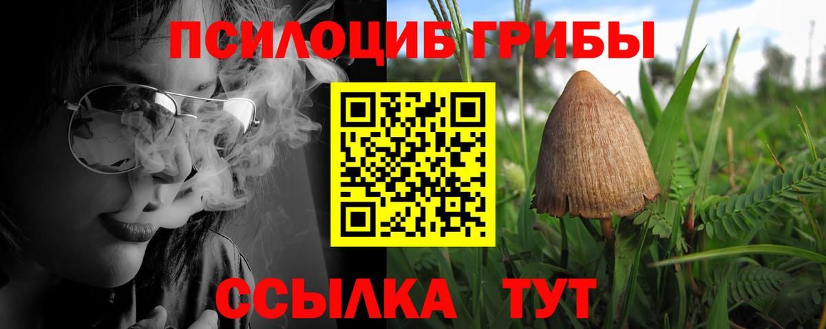 Псилоцибиновые грибы MAGIC MUSHROOMS Мончегорск